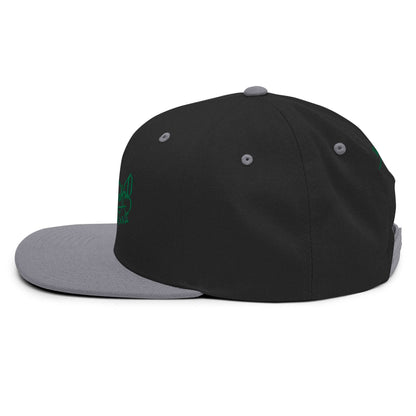 Gorra snapback Clásica negro plata Firma en verde papijohn