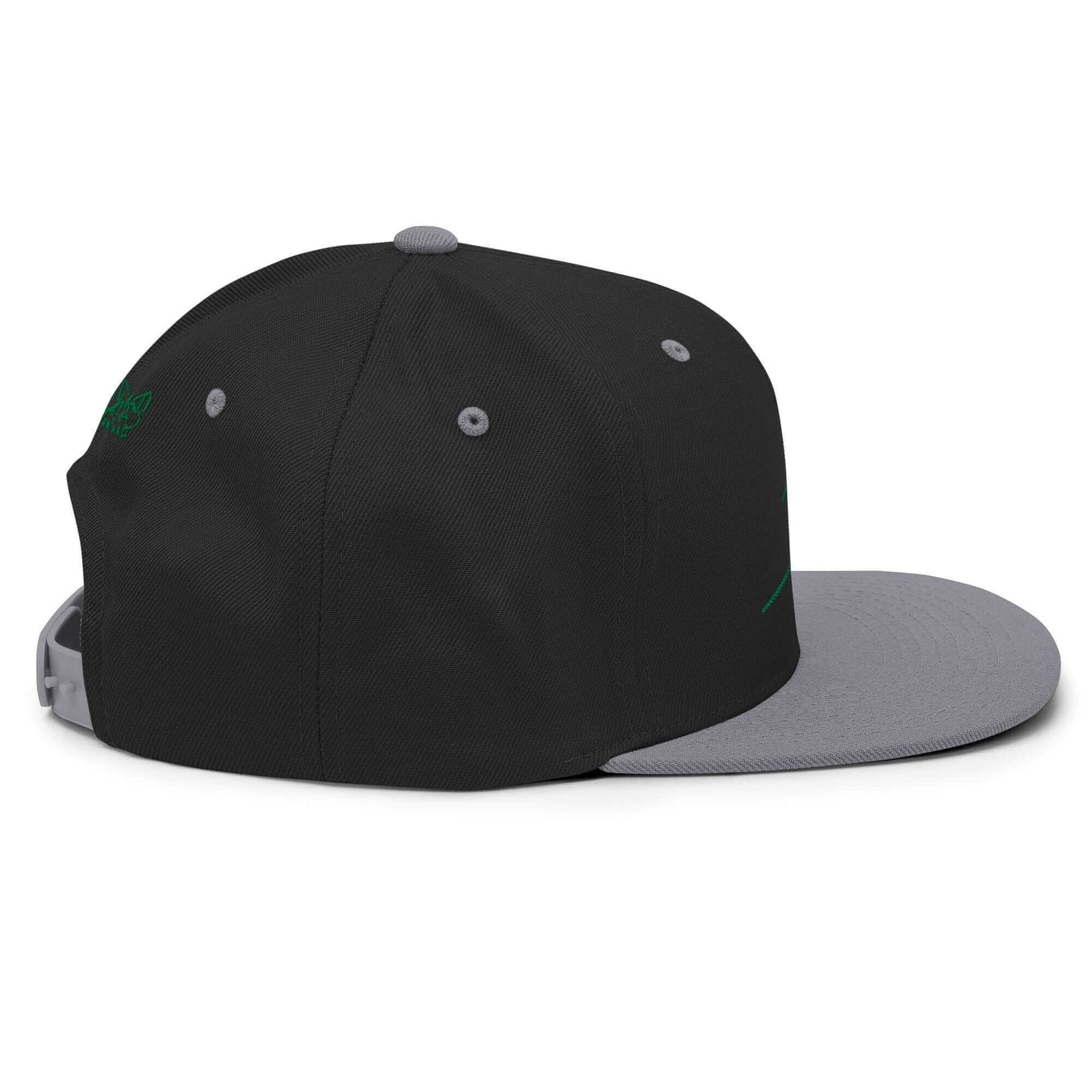 Gorra snapback Clásica negro plata Firma en verde papijohn