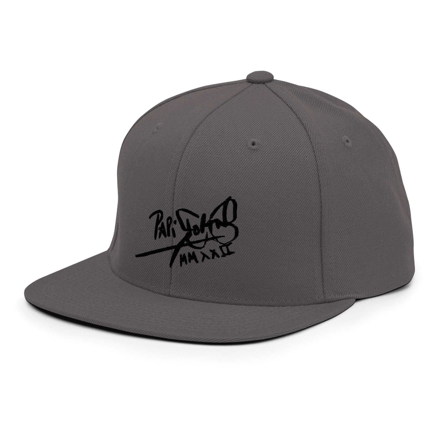 PapiJohn® The Shadow Signature Multicolor Snapback in industrial dark grey left profile framing the rigid crown stiffness and flat billvisor boundary | Streetwear d'Auteur