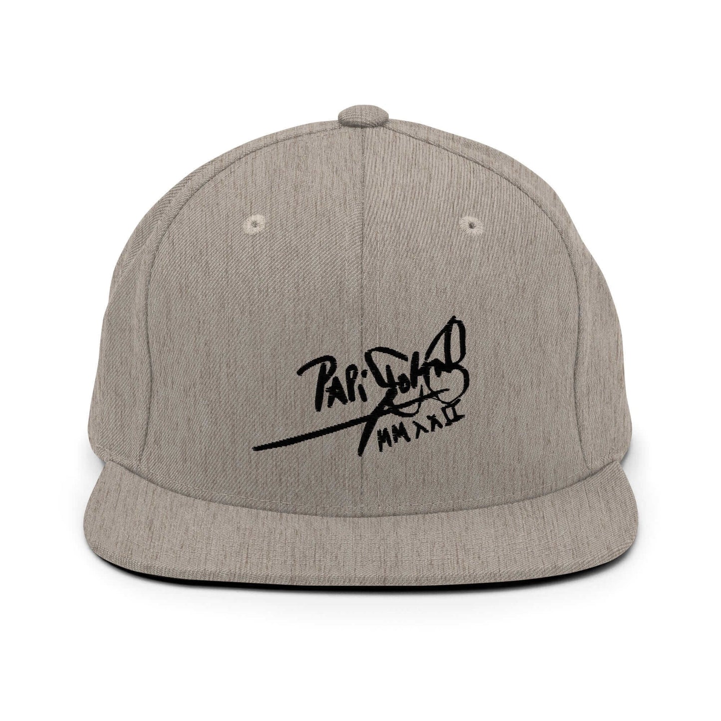 PapiJohn® The Shadow Signature Multicolor Snapback in classic monochromatic heather grey front view presenting the absolute black embroidered typography | Sala 1 Wearable Art Fashion