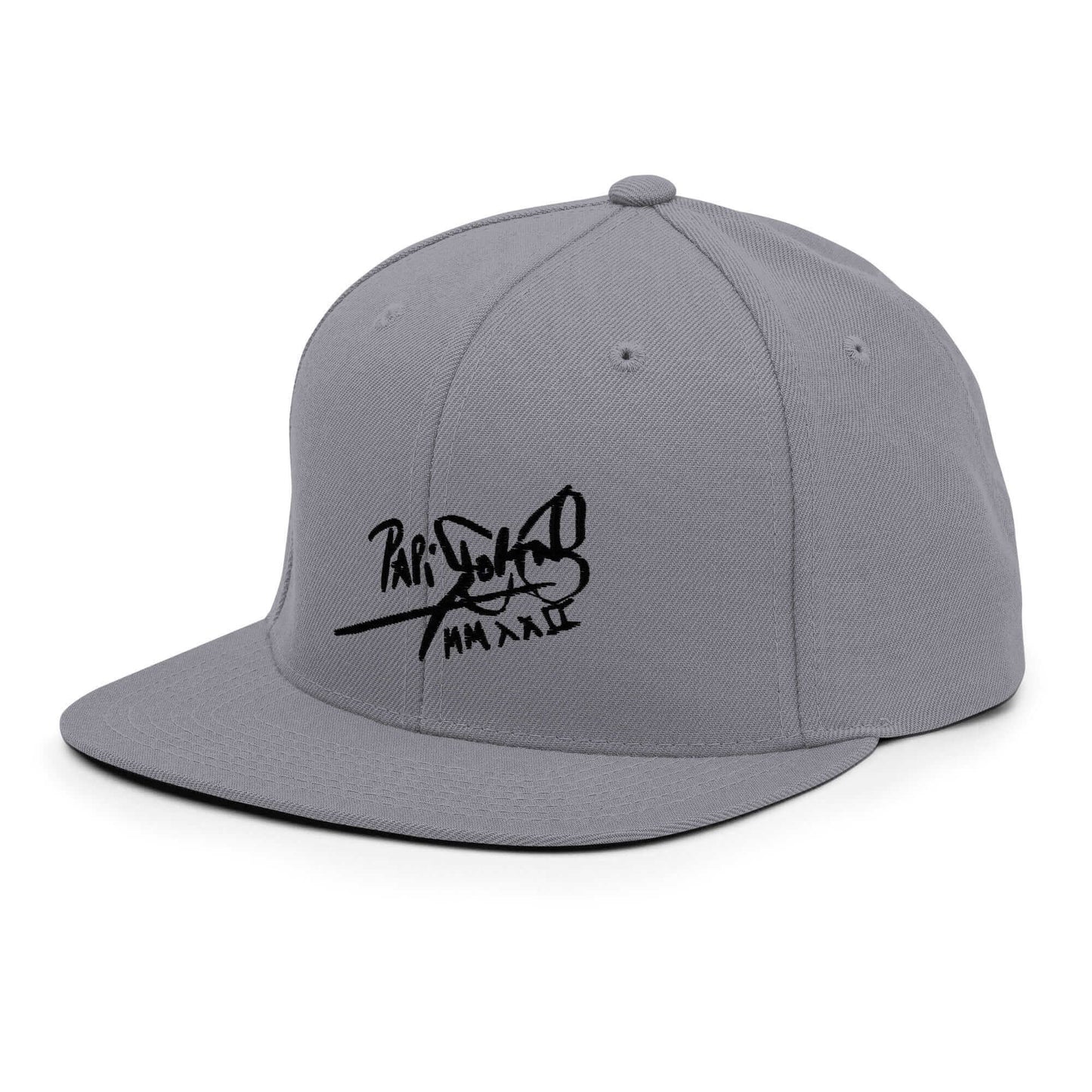 PapiJohn® The Shadow Signature Multicolor Snapback in metallic silver left side profile highlighting the streamlined high-profile crown height | Streetwear d'Auteur